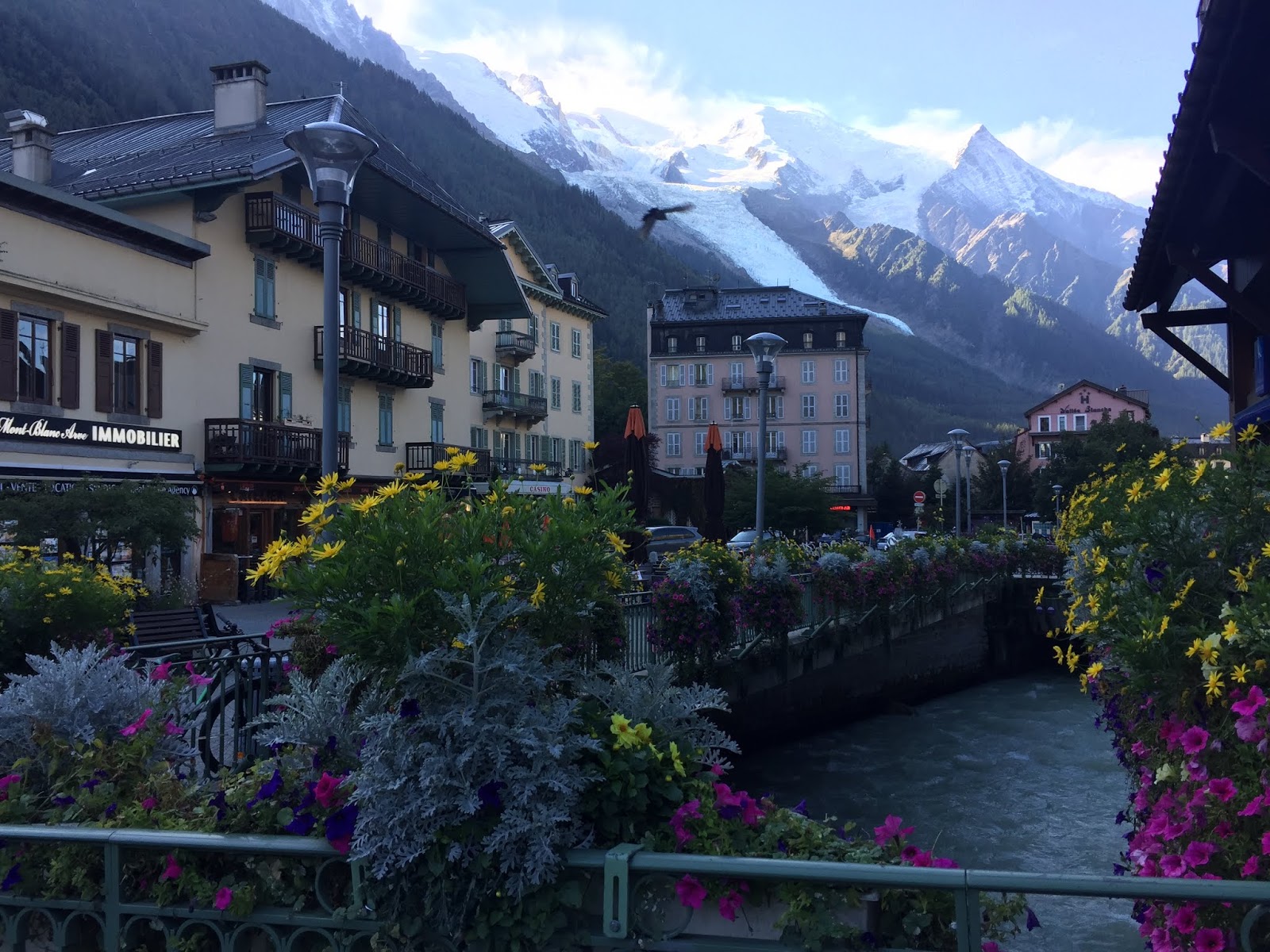 Alpenwildpark