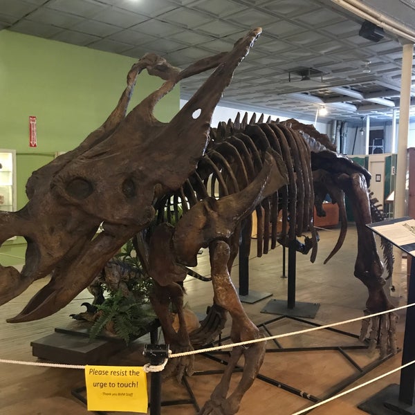 Buena Vista Museum of Natural History
