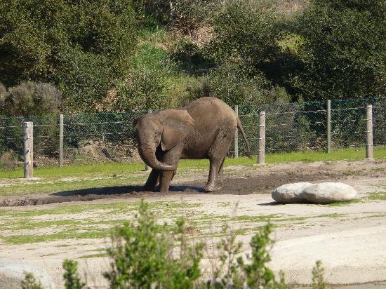 Monterey Zoo