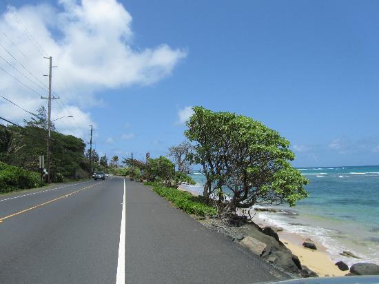 Kamehameha Highway
