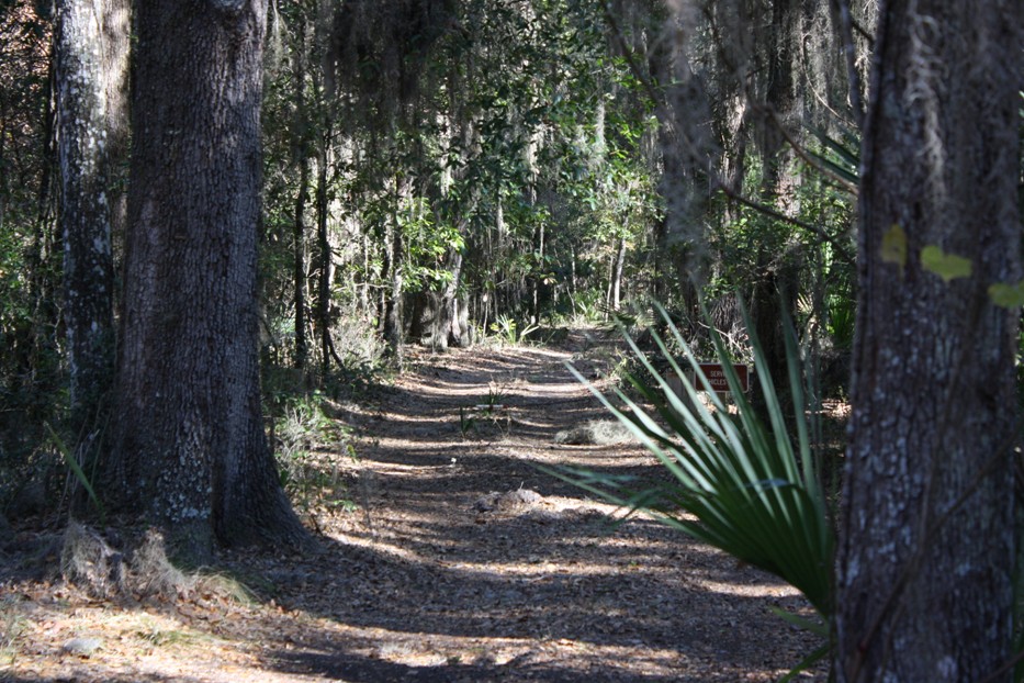Paynes Prairie Preserve State Park
