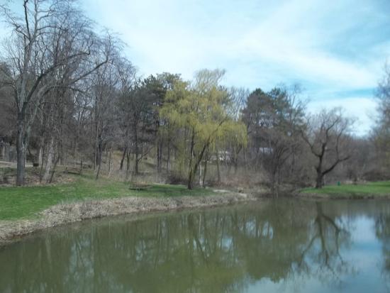 Side Cut Metropark