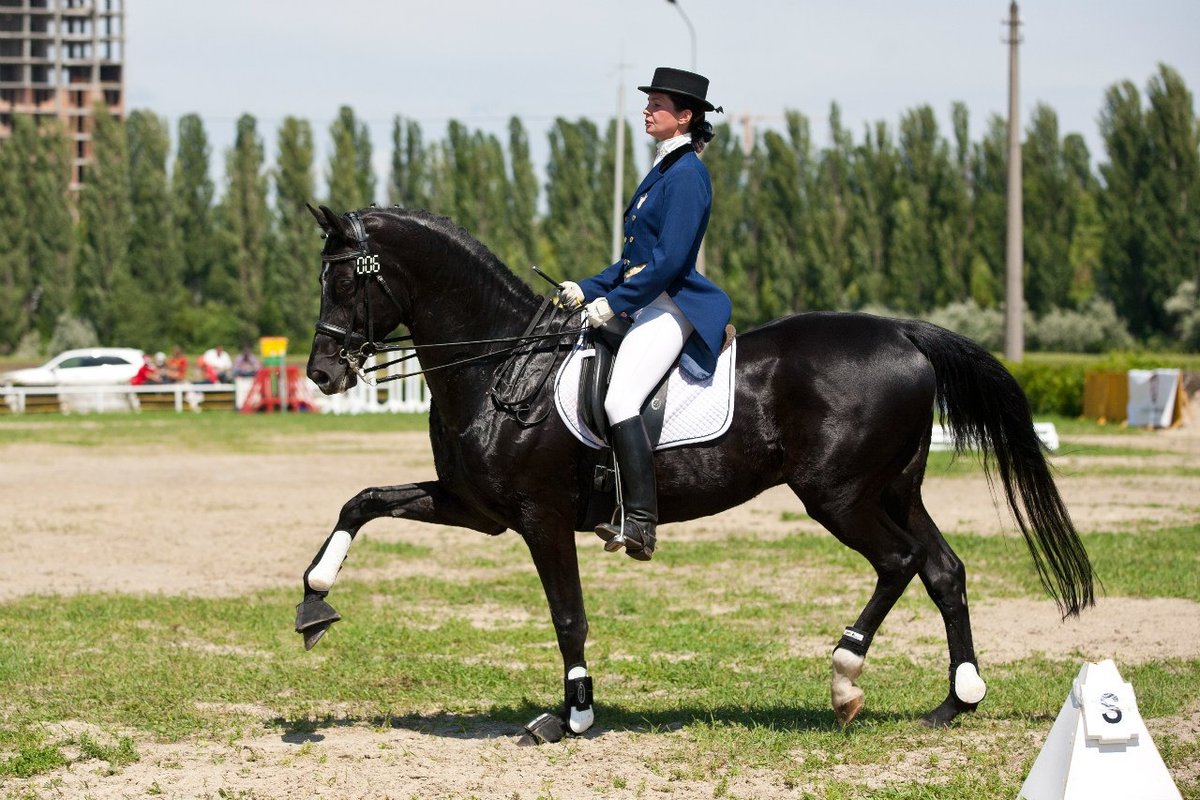 Ai-Vasil Equestrian Club