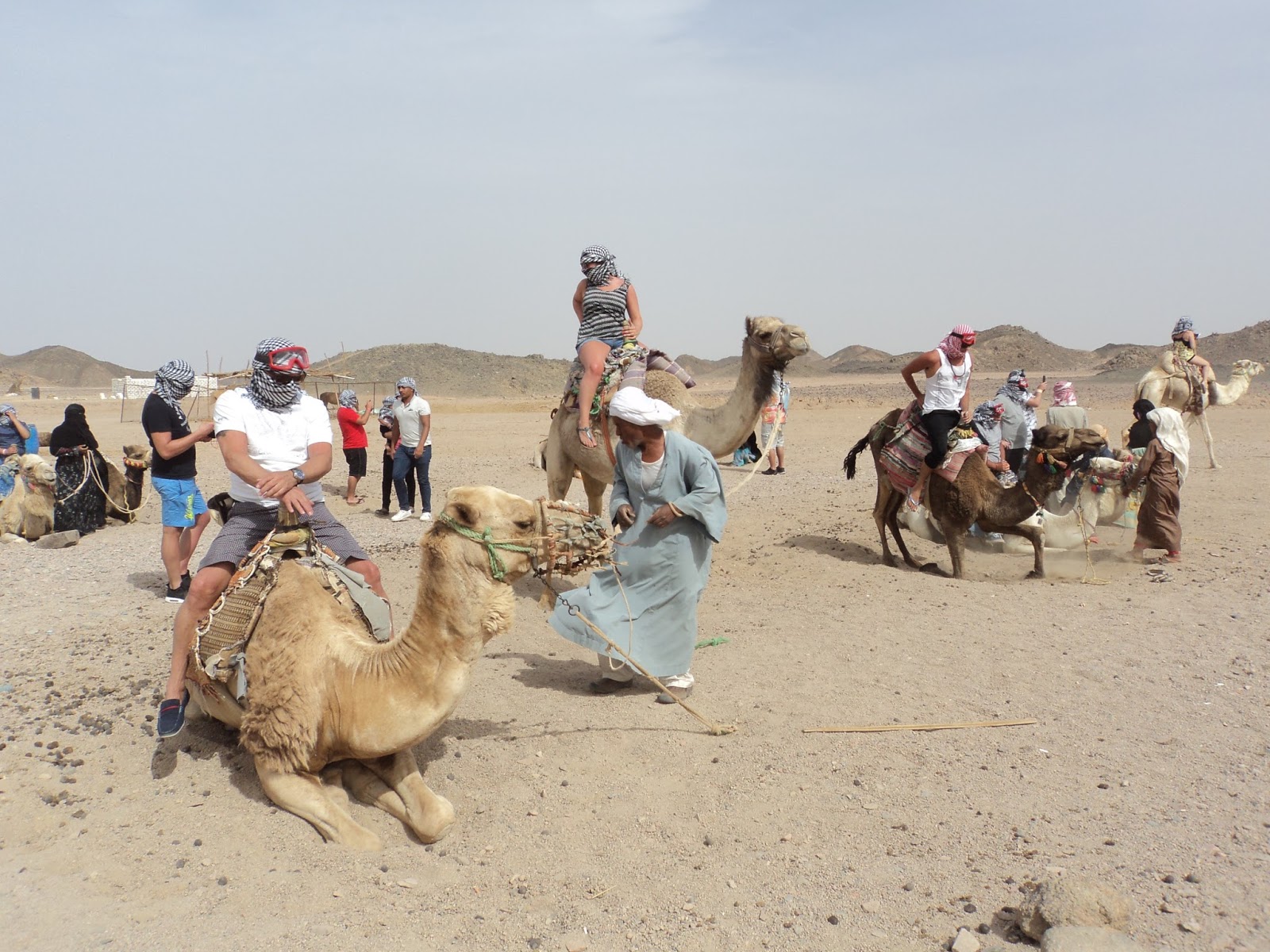 Safari in Hurghada