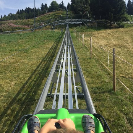 Speed Luge Vercors