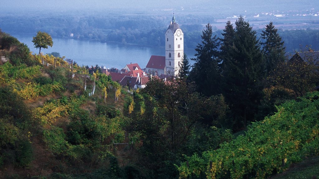 Göettweiger Walderlebniswelt