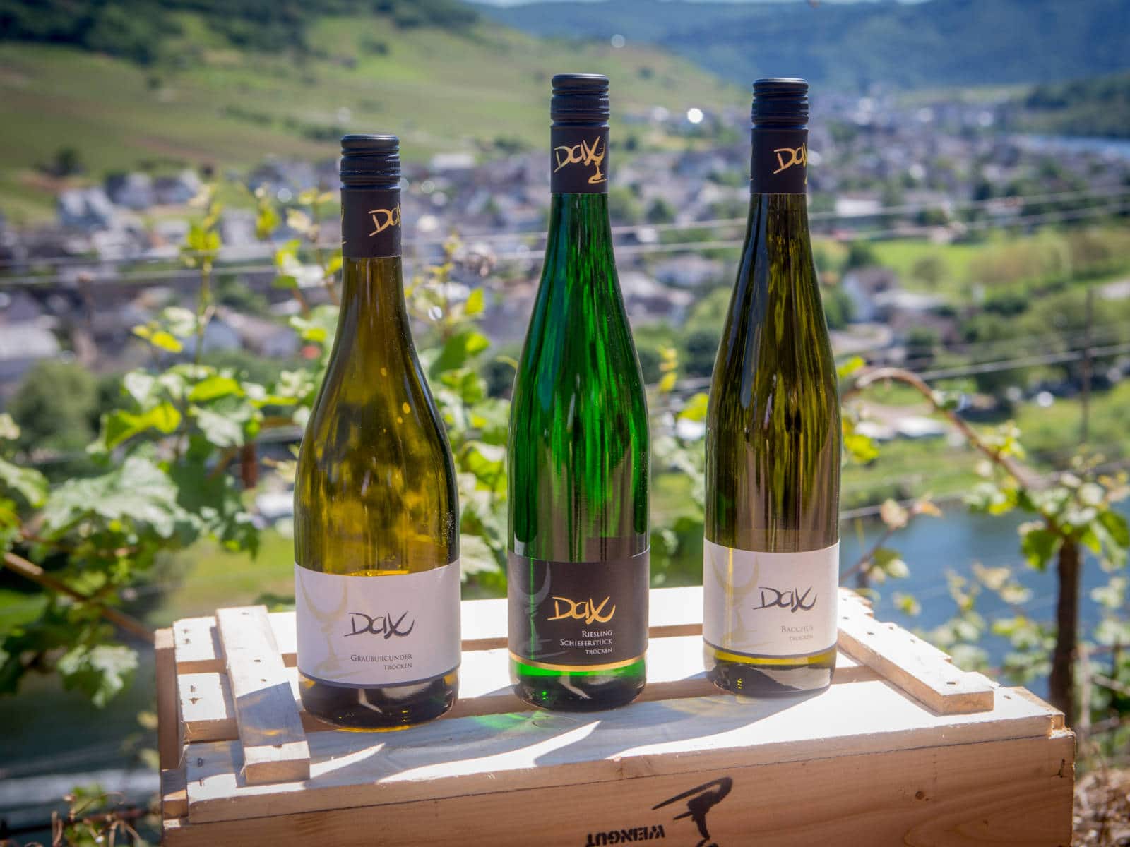 Weingut Haider