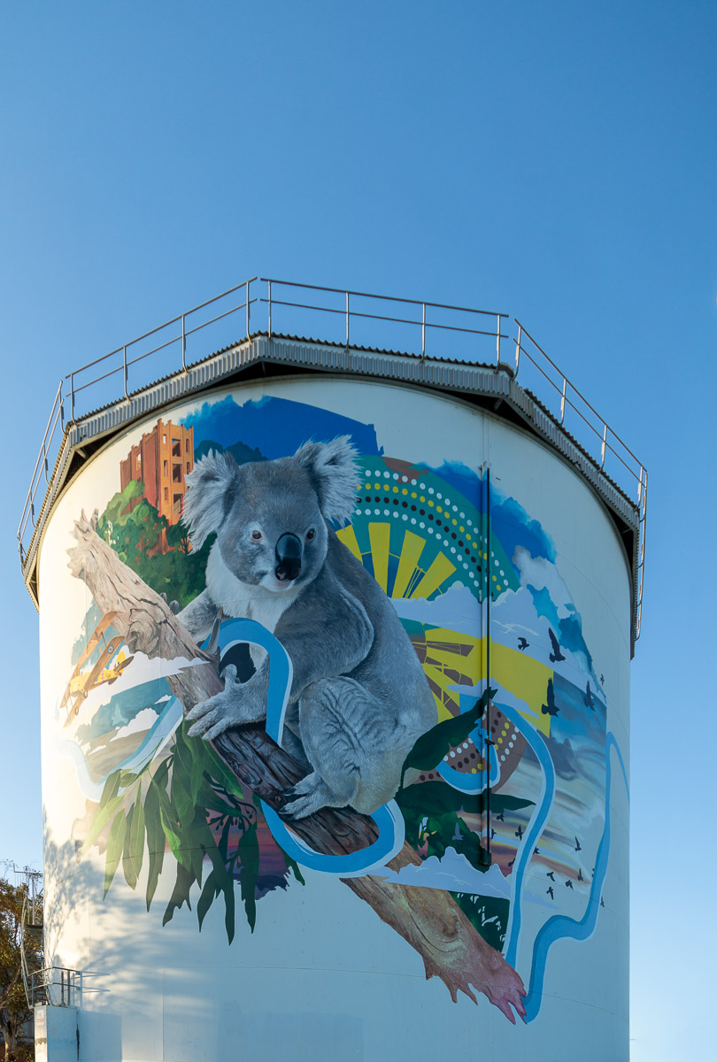 Narrandera Water Tower Art