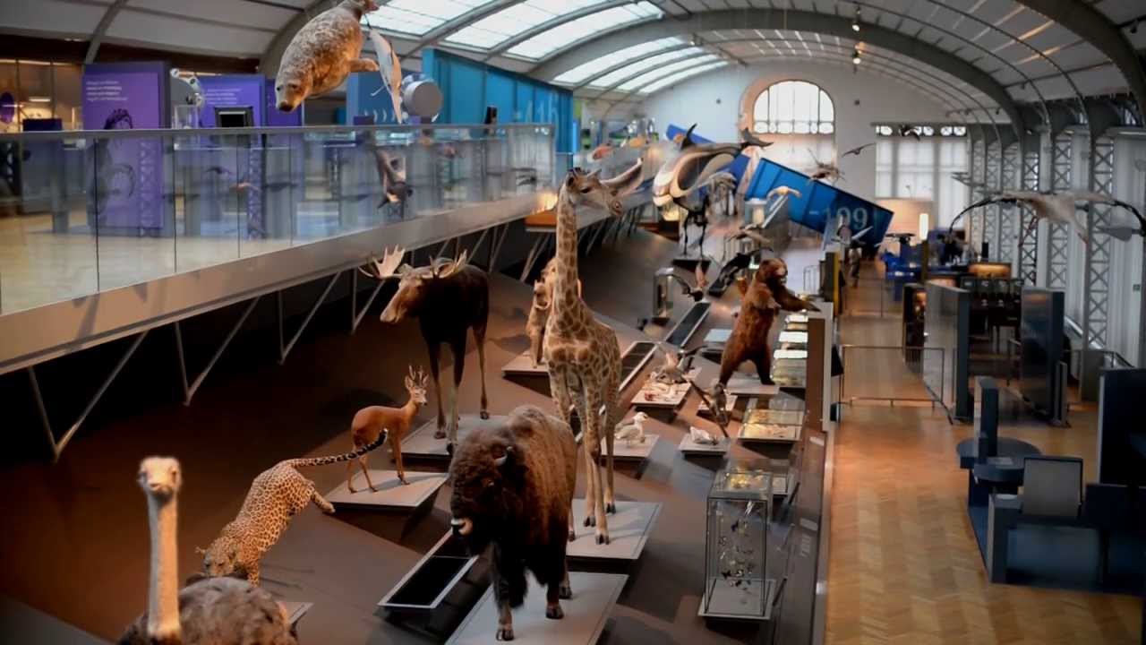 Museum of Natural Sciences