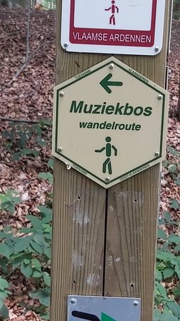 Muziekbos