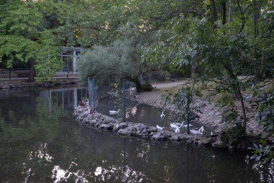 Parc Charruyer