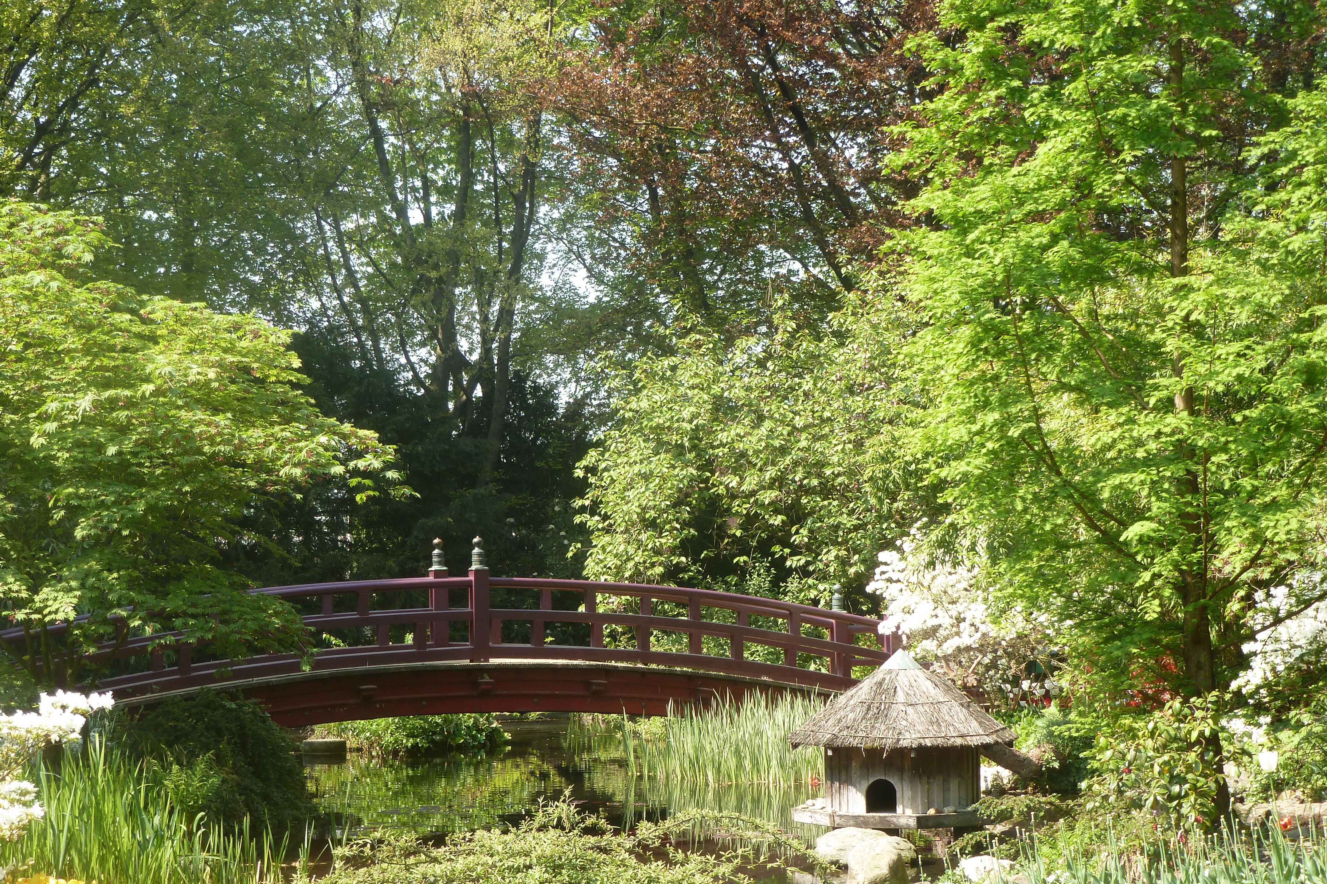 Japanischer Garten Leverkusen