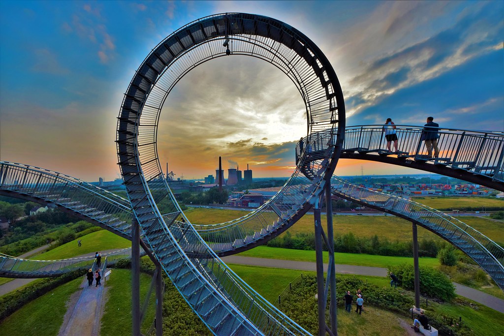 Tiger & Turtle