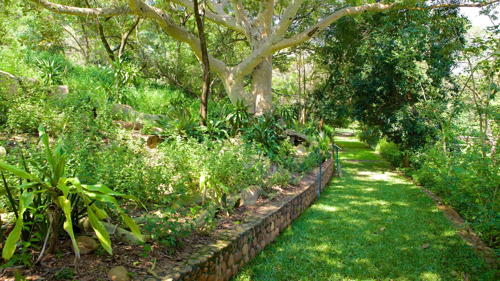 Botanical Dry Garden