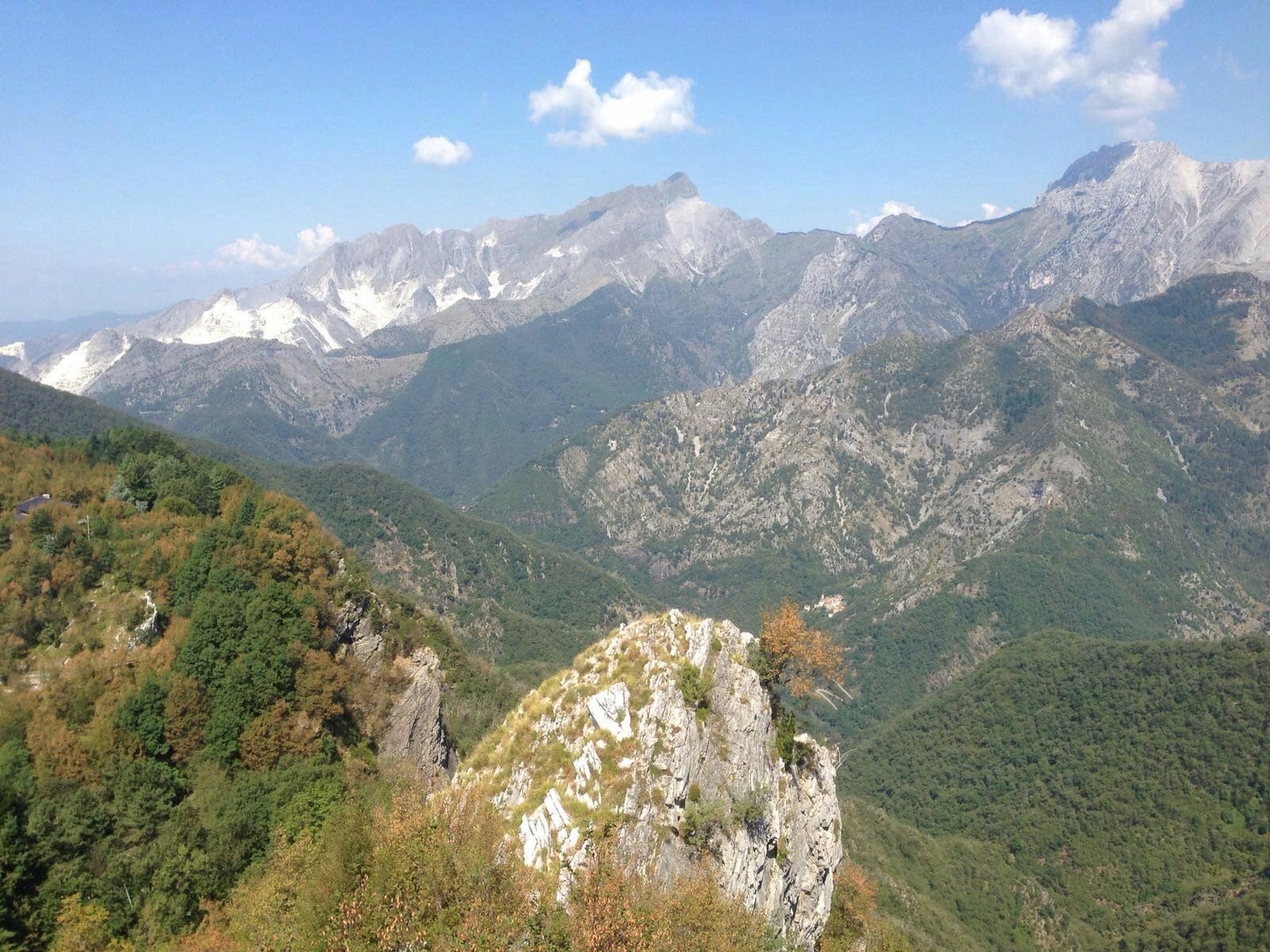 L'Orto Botanico Pellegrini Ansaldi