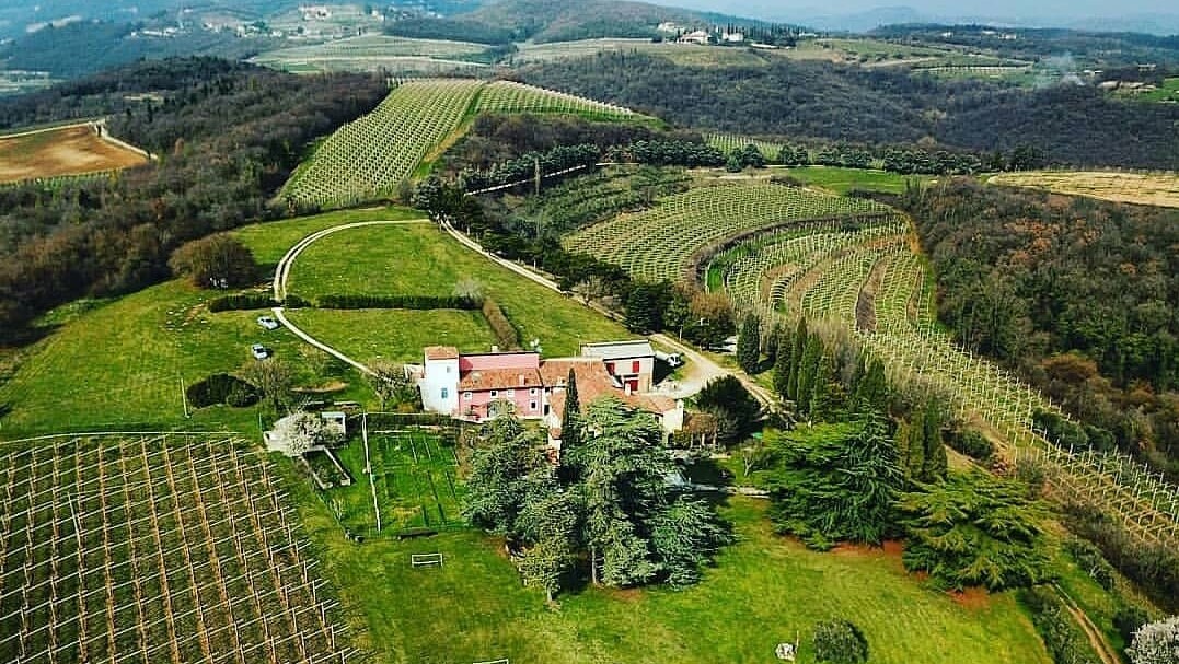 Azienda Agricola Vinicola Domenico Russo