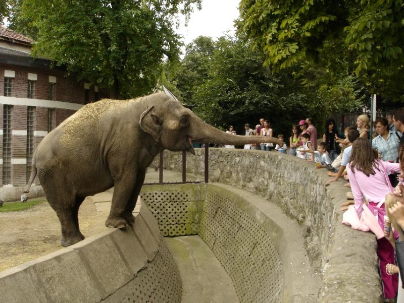 Belgrade Zoo