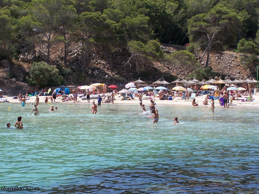 Playa Portals Vells