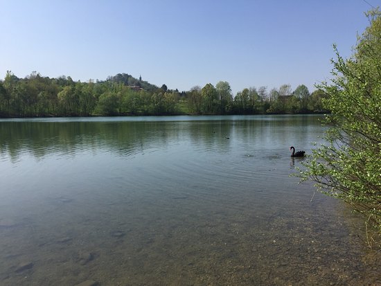 Parco "Il Lago" di Altavilla Vicentina