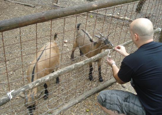 Carpat Zoo