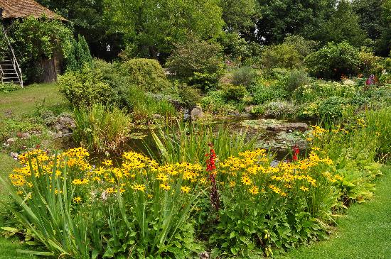 Beech Court Gardens