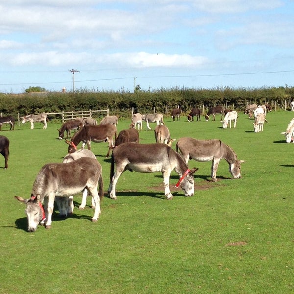 The Isle of Wight Deer Farm