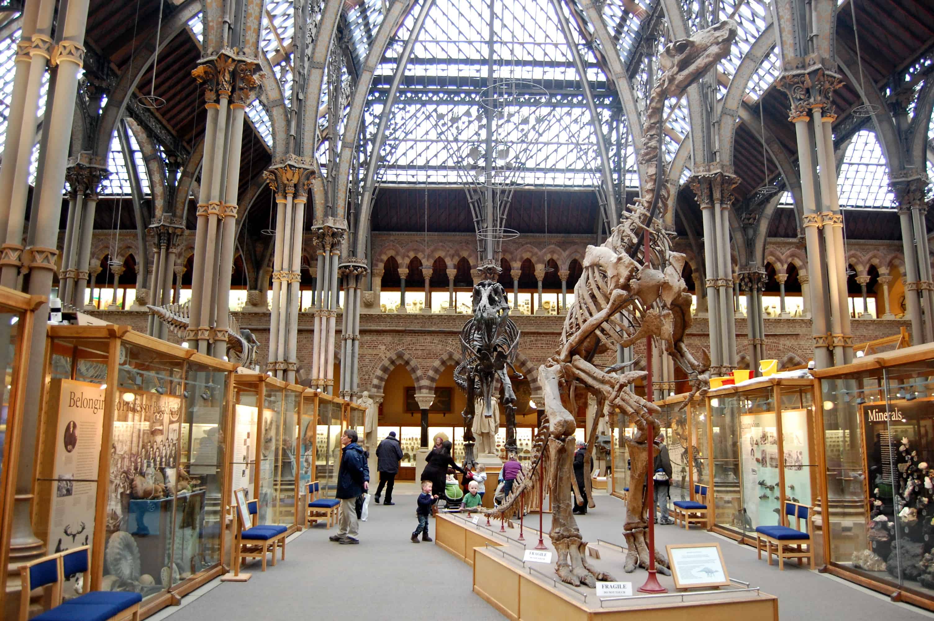 Oxford University Museum of Natural History