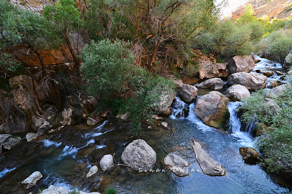Outdoor Pictures 1