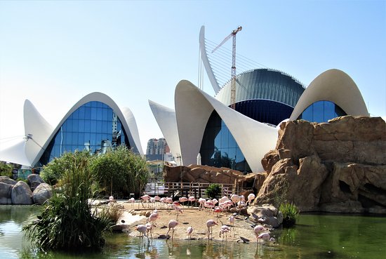 Oceanogràfic València