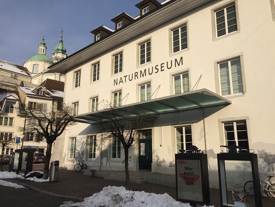 Naturmuseum Solothurn