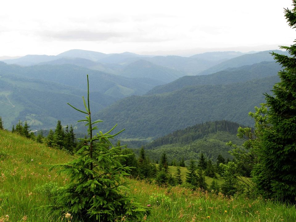 National Park Skole Beskids