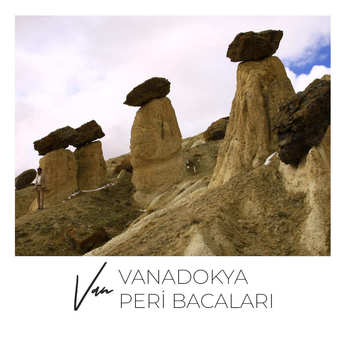 Vanadokya Peri Bacalari
