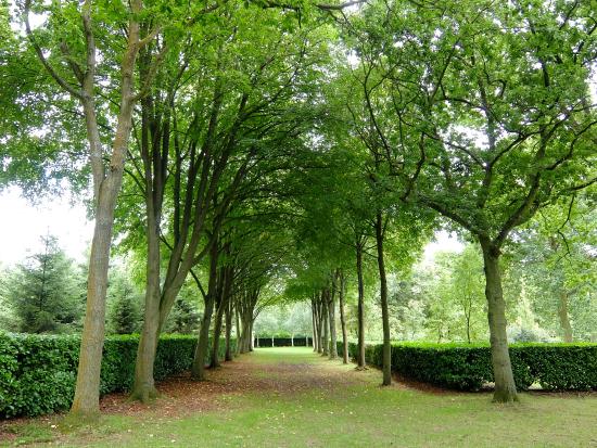 Whipsnade Tree Cathedral