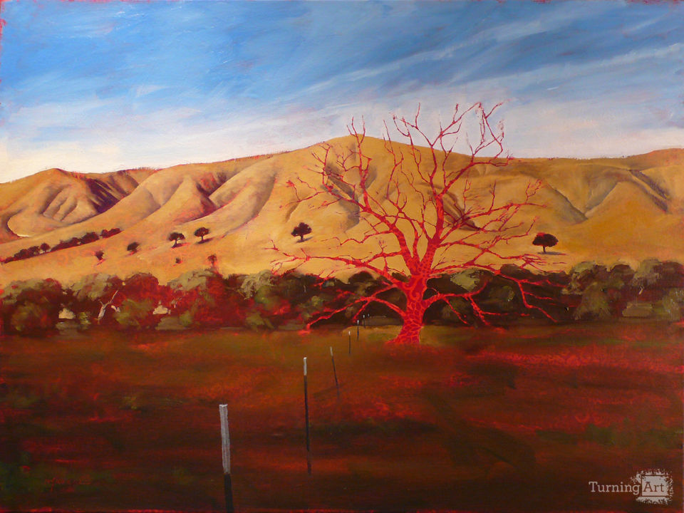 Salinas Valley Art Gallery