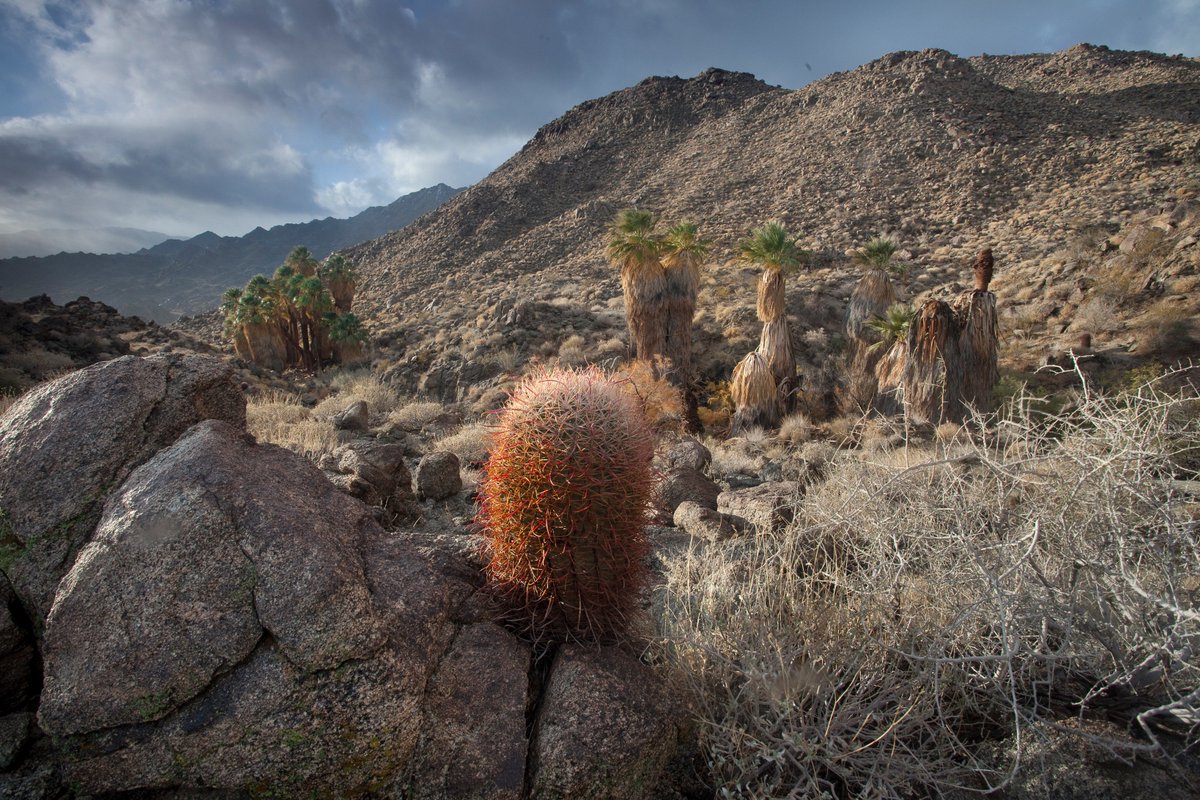 Santa Rosa & San Jacinto Mountains National Monument Visitor Center