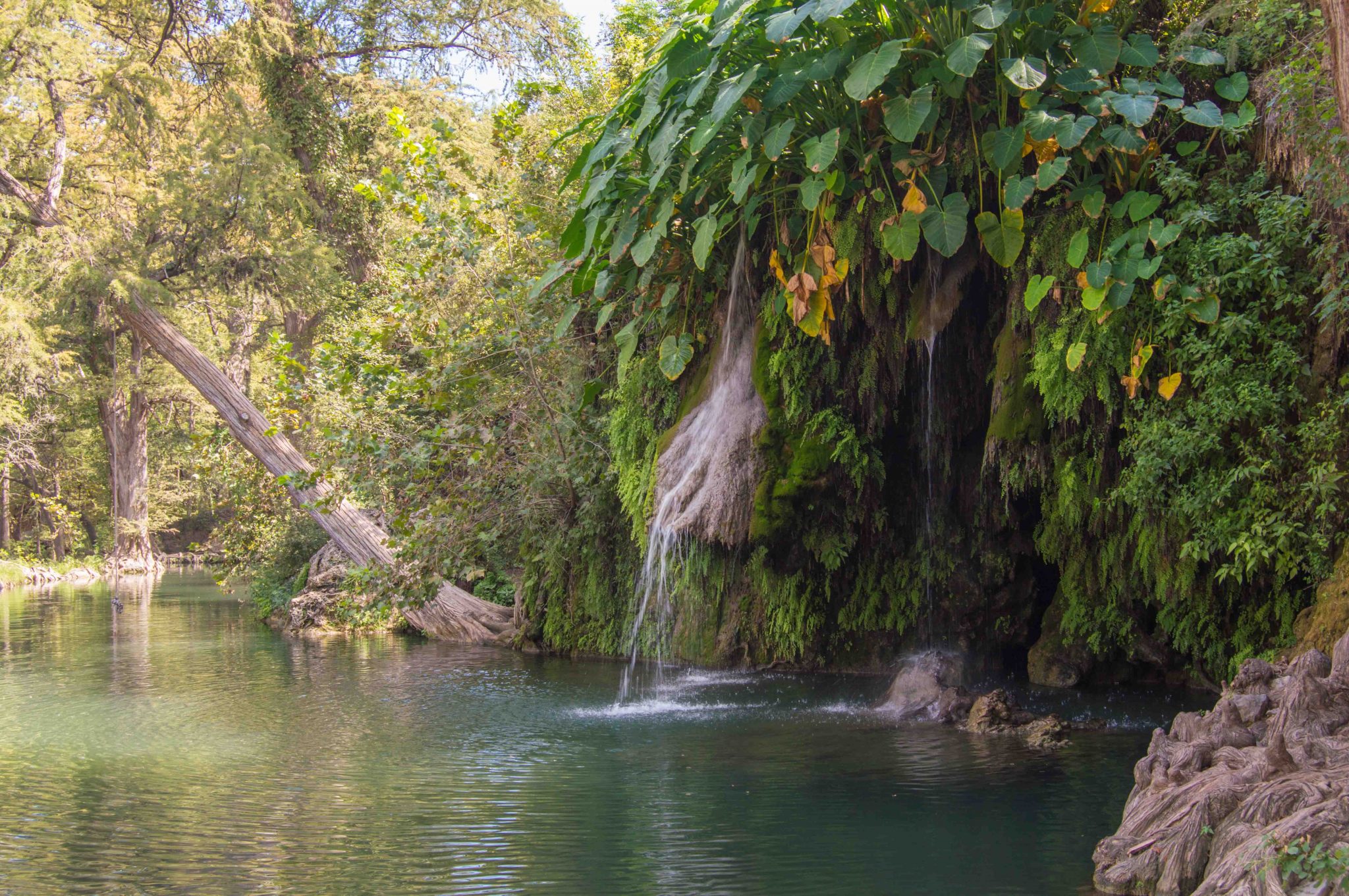 Krause Springs
