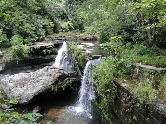 Savage Gulf State Natural Area