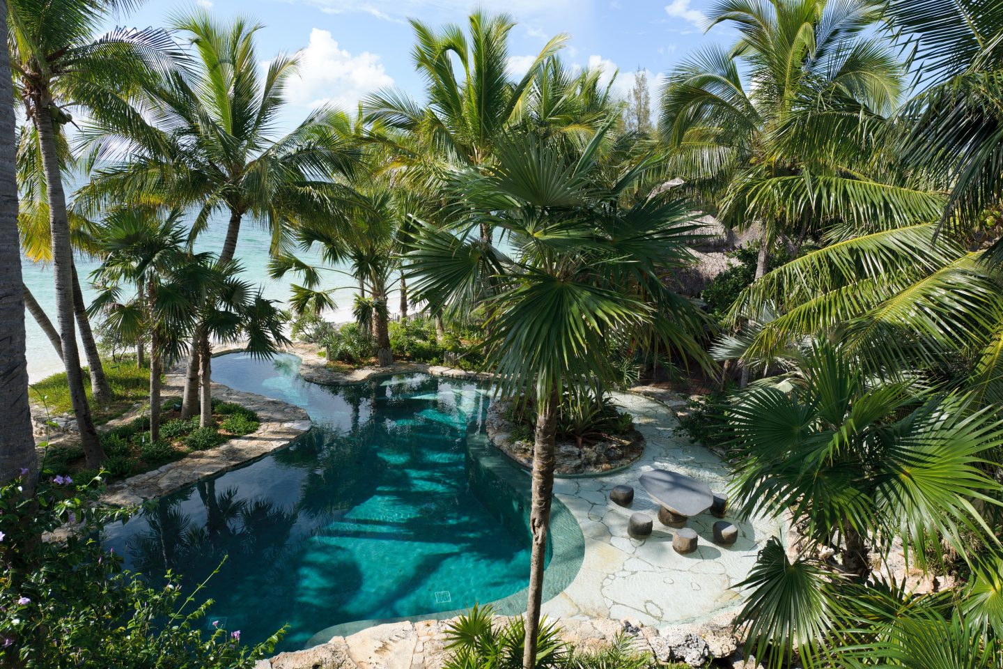 Jungle Playa