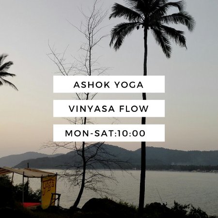 Ashok Yoga