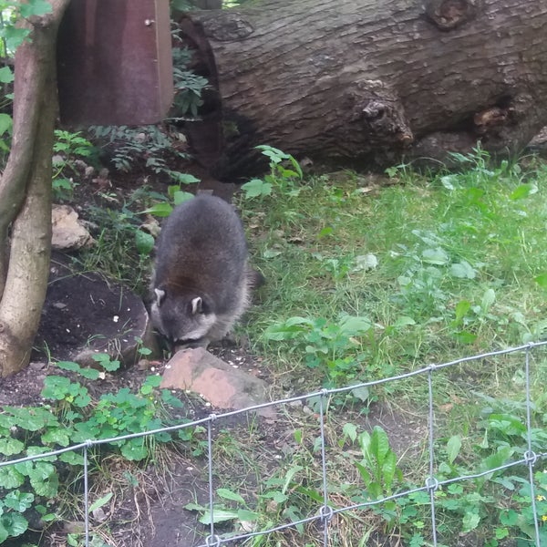 Tierpark Zittau