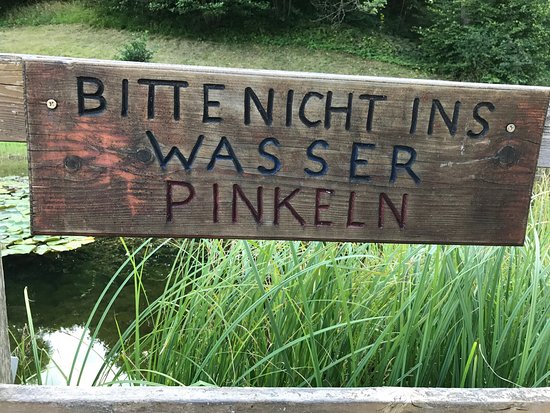 Naturschwimmbad Radnig