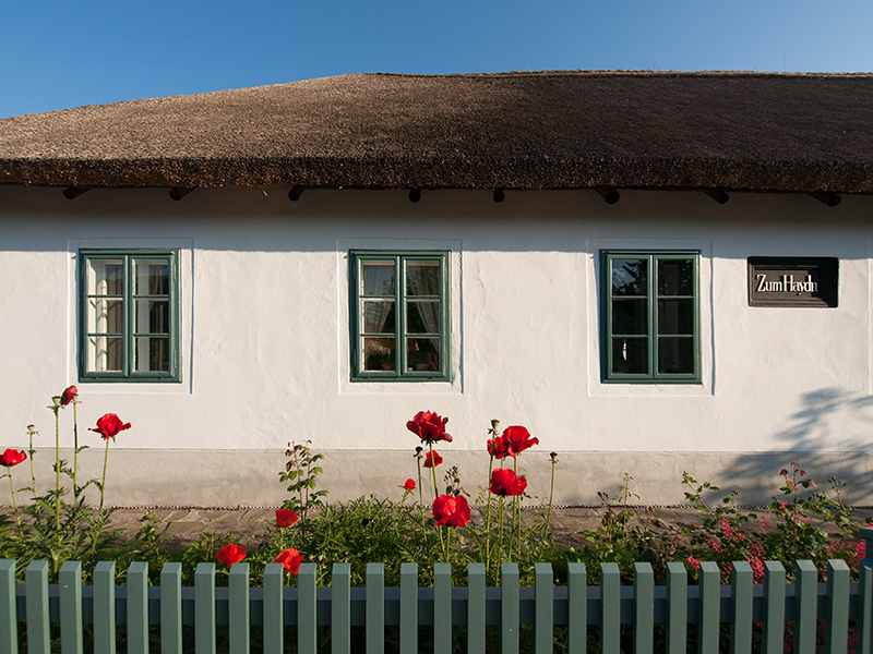 Haydn Geburtshaus