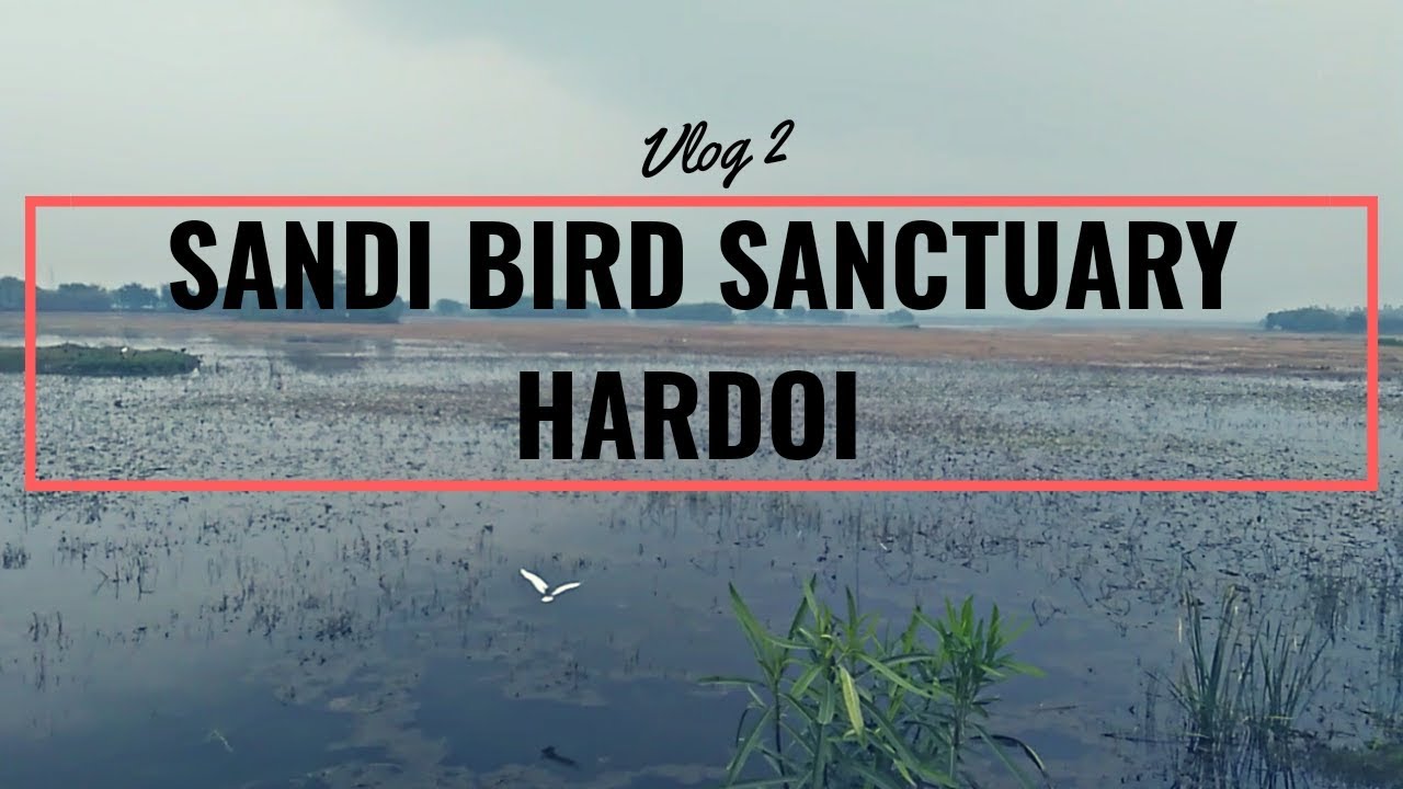Sandi Bird Sanctuary