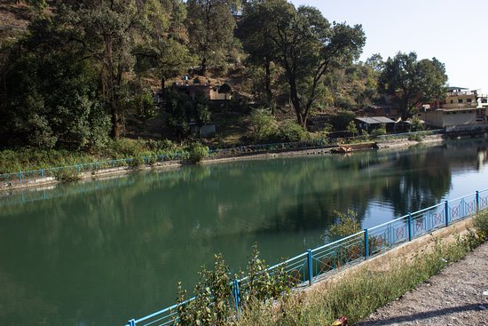 Saria Tal