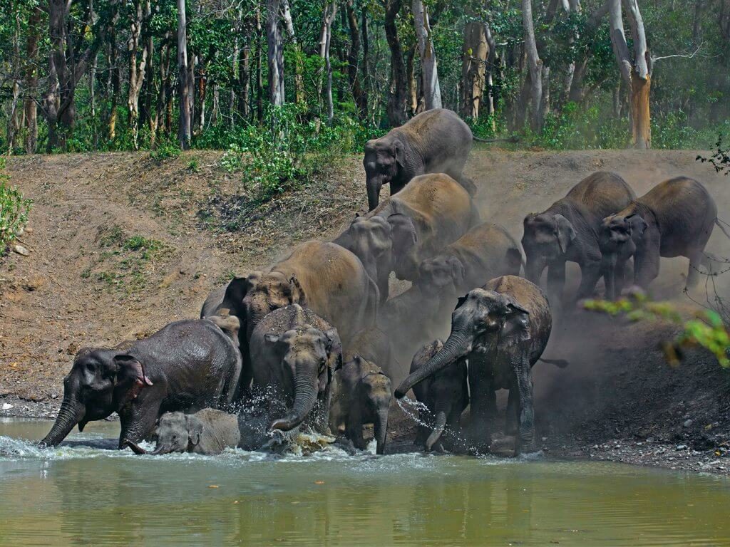 Rajaji Tiger Reserve