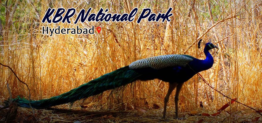 KBR National Park