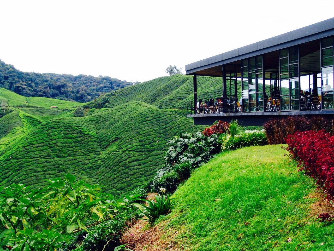 Cameron Highlands Butterfly Garden