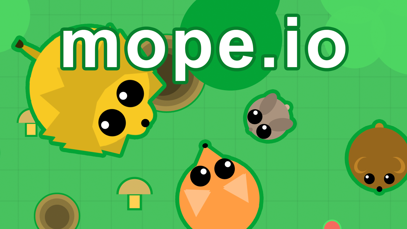 Io Viaggi