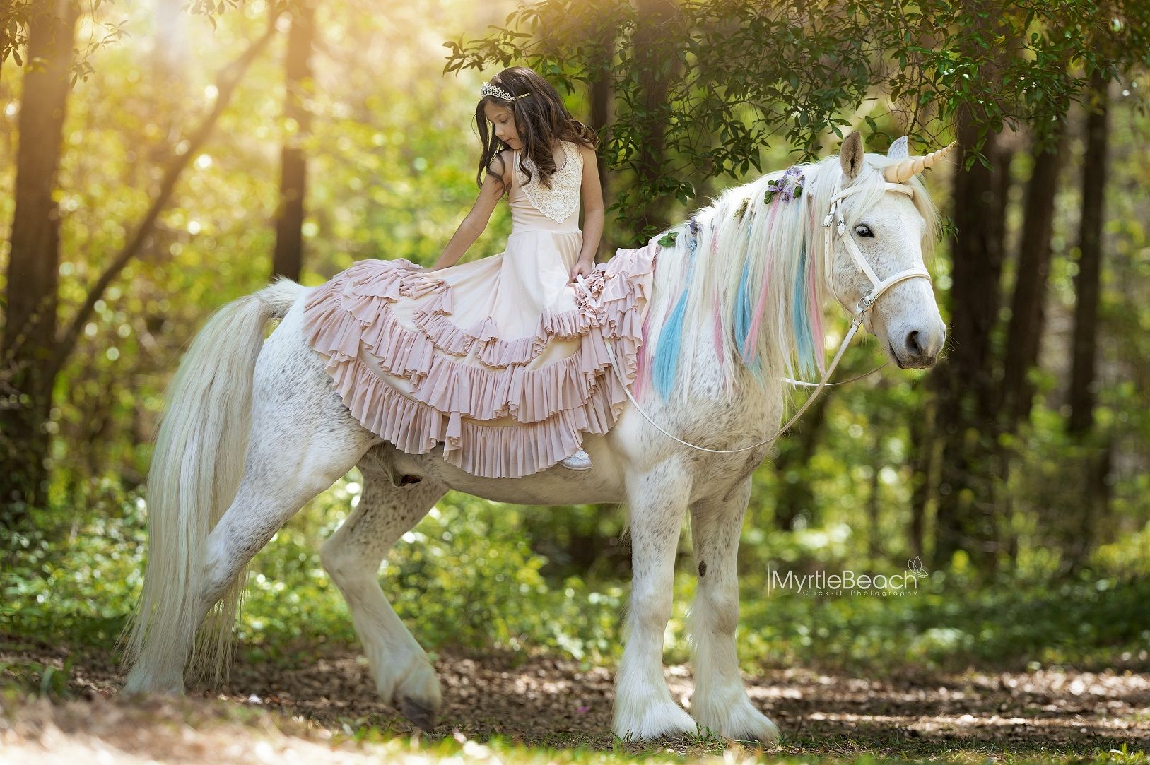 Unicorn Gallery