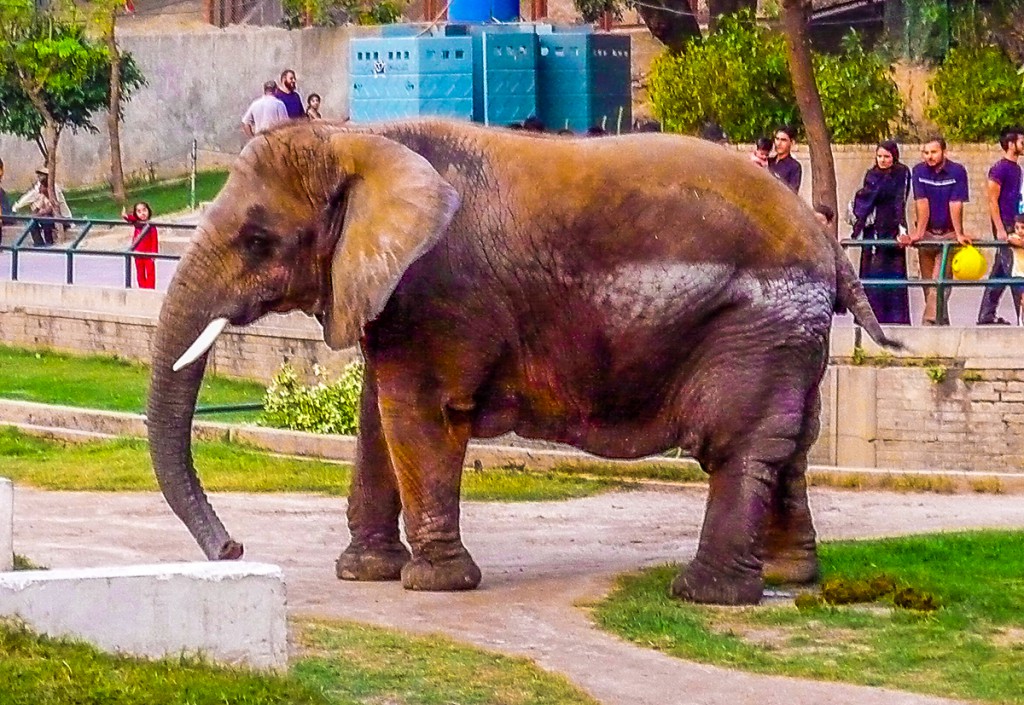 Lahore Zoo